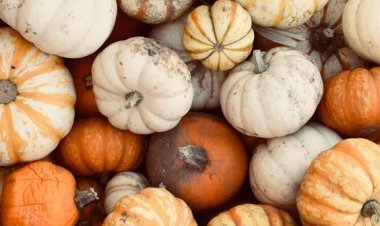 MEVSİMİNDE BALKABAĞI ÇORBASI TARİFİ